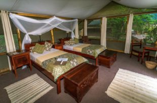 Ishasha Wilderness Camp tent (website) (1)