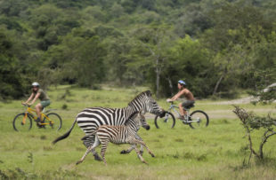 Bike safari