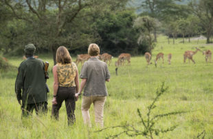 Walking safari